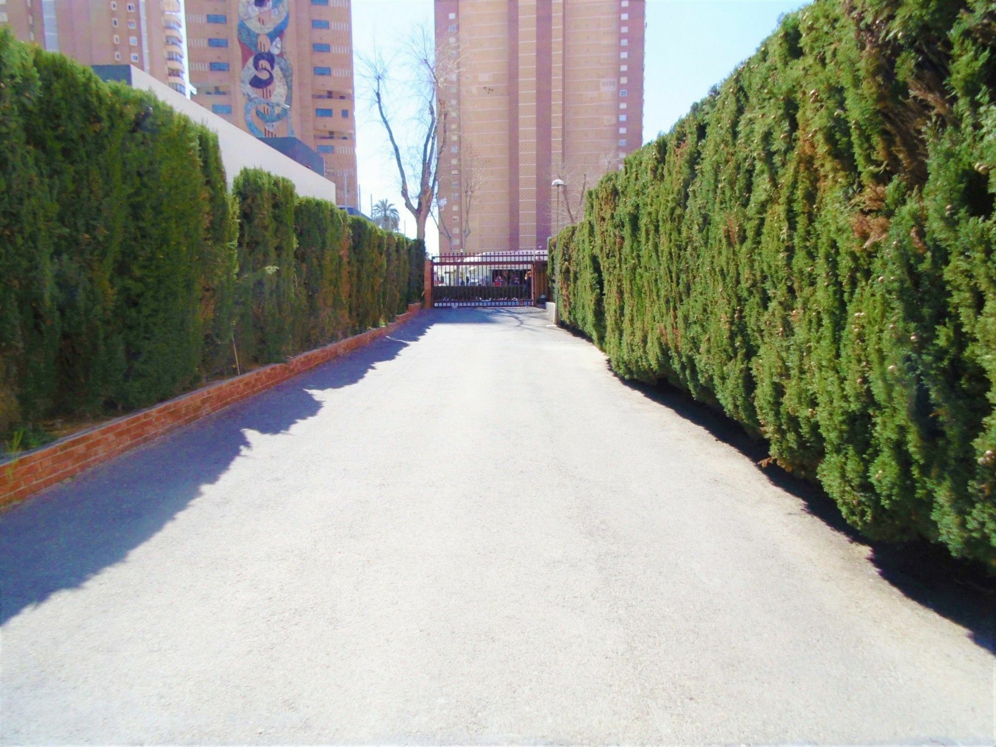 Edimar 2-3 Apartment Levante Beach Benidorm Buitenkant foto
